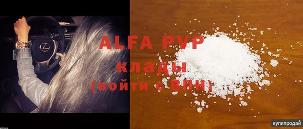 гашик Козельск