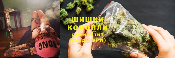 гашик Козельск