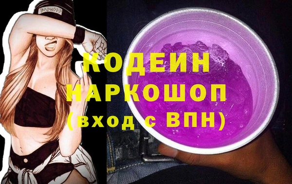 гашик Козельск