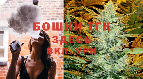 гашик Козельск