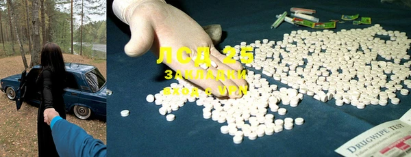 гашик Козельск