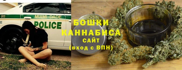 гашик Козельск