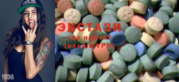 гашик Козельск