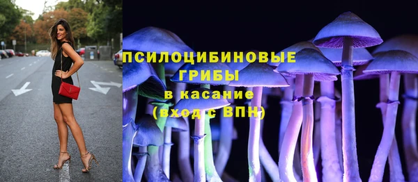 гашик Козельск
