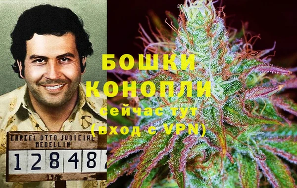 прущие крисы Козловка